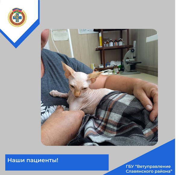 foto 2025 07 11 10 07 10