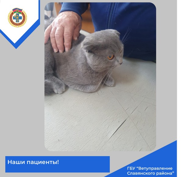foto 2025 07 11 10 07 11