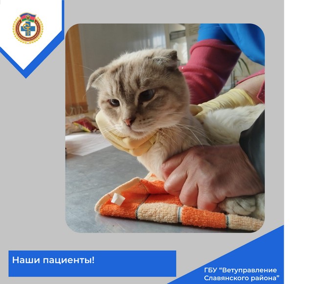 foto 2025 07 11 10 07 12