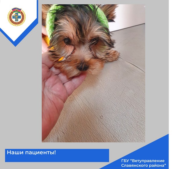foto 2025 07 11 10 07 13