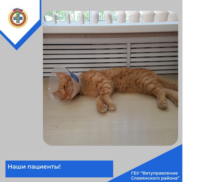 foto 2025 07 11 10 07 6